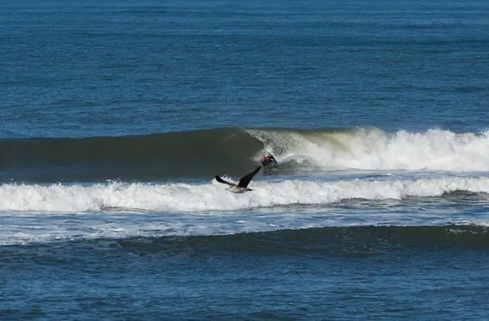 게스트하우스 A&z 4*